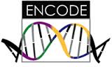encode