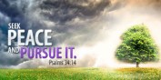 seek-peace-and-pursue-it-2